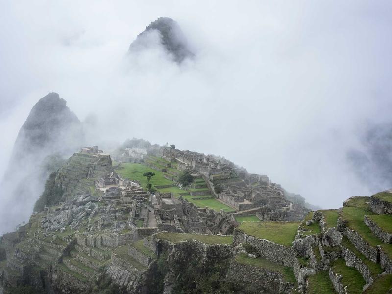 feedback screenshot 6